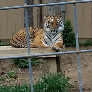 Meet your Posher, Rita